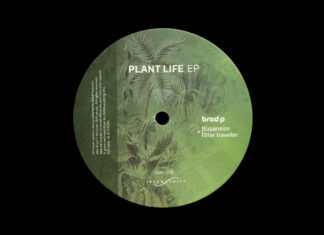 Brad P Plant Life album artwork