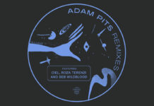 Adam Pits International Wafter Remixes album artwork