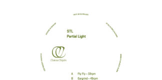 STL Partial Light album art
